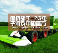 关于电子麻将胡了