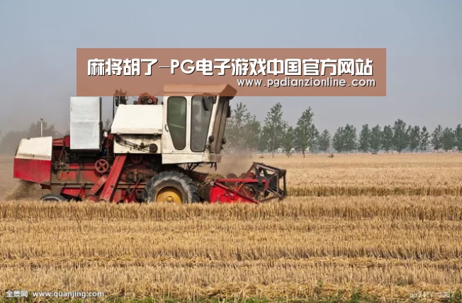 产品名称七(图1)