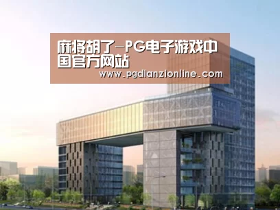 案例展示四