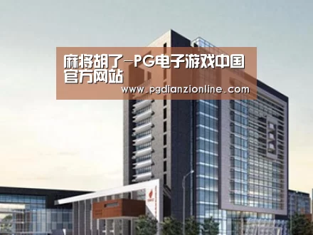 案例展示七