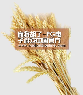 麻将胡了-PG电子游戏中国官方网站