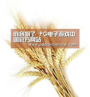 麻将胡了-PG电子游戏中国官方网站