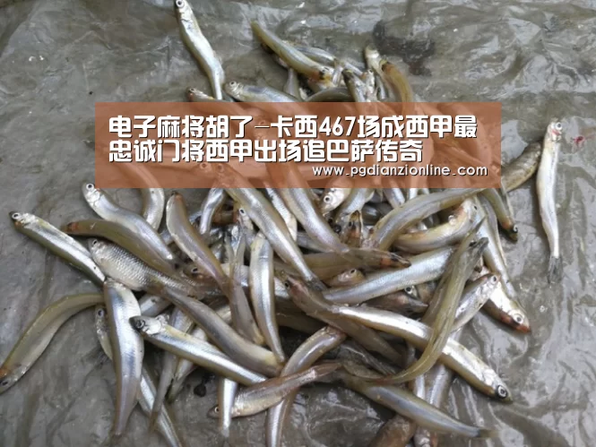 电子麻将胡了官网