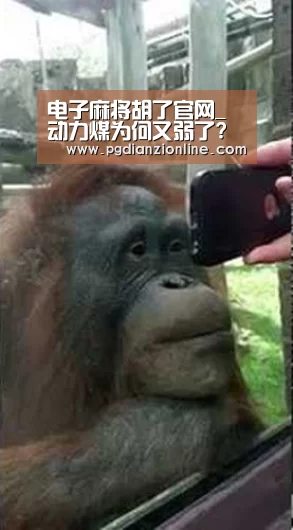 电子麻将胡了官网_动力煤为何又弱了?