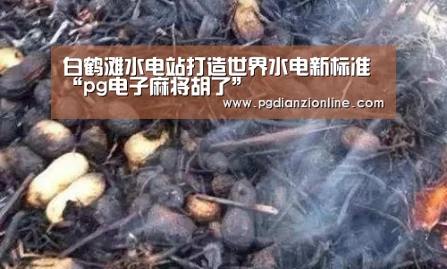 白鹤滩水电站打造世界水电新标准“pg电子麻将胡了”(图2) 电子麻将胡了官网