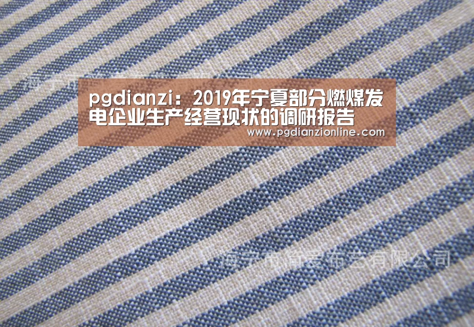 pgdianzi:2019年宁夏部分燃煤发电企业生产经营现状的调研报告(图4) 电子麻将胡了