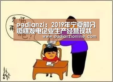 pgdianzi:2019年宁夏部分燃煤发电企业生产经营现状的调研报告(图2) 电子麻将胡了官网
