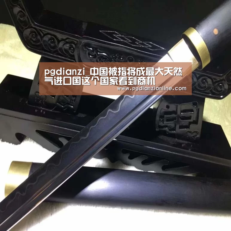 pgdianzi_中国被指将成最大天然气进口国这个国家看到商机(图2) pgdianzi_中国被指将成最大天然气进口国这个国家看到商机(图2)